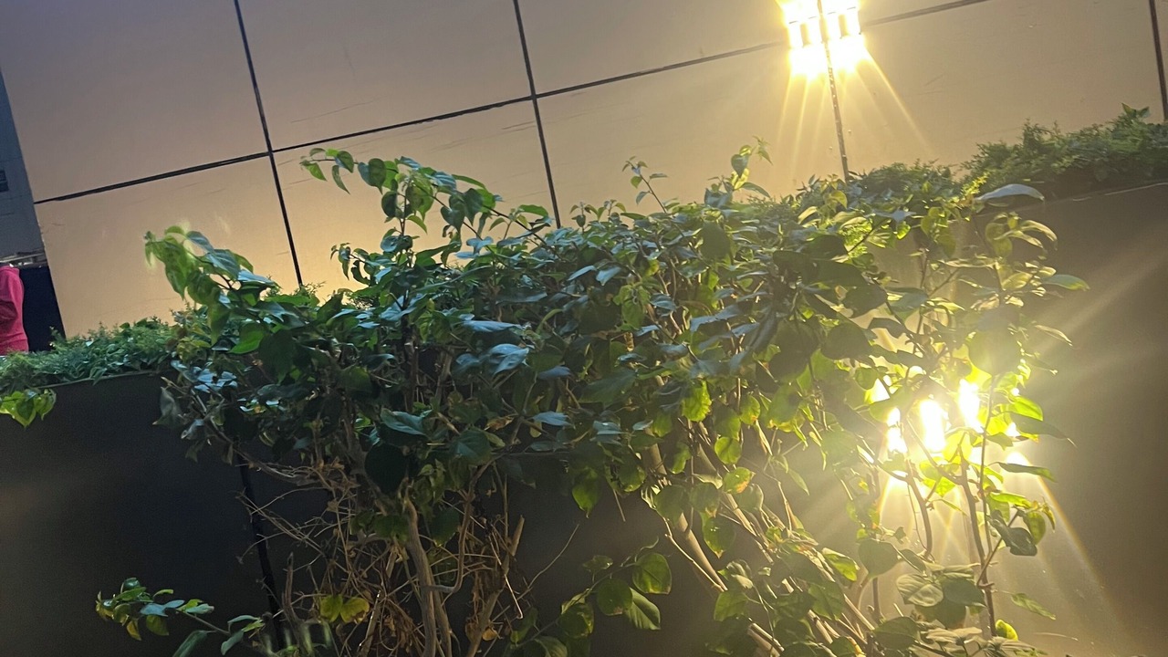 Photo of Outdoor in International City