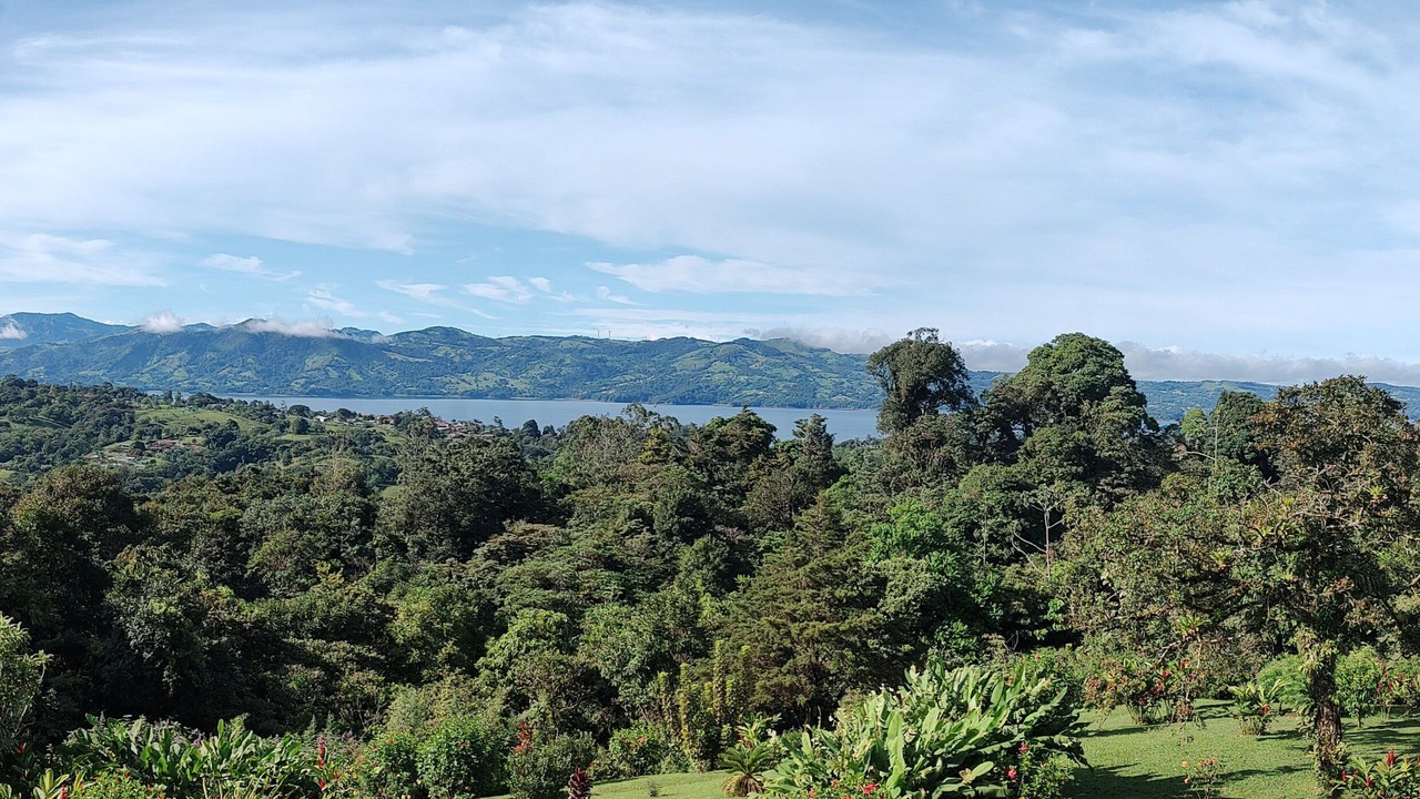 Photo of Others in Nuevo Arenal