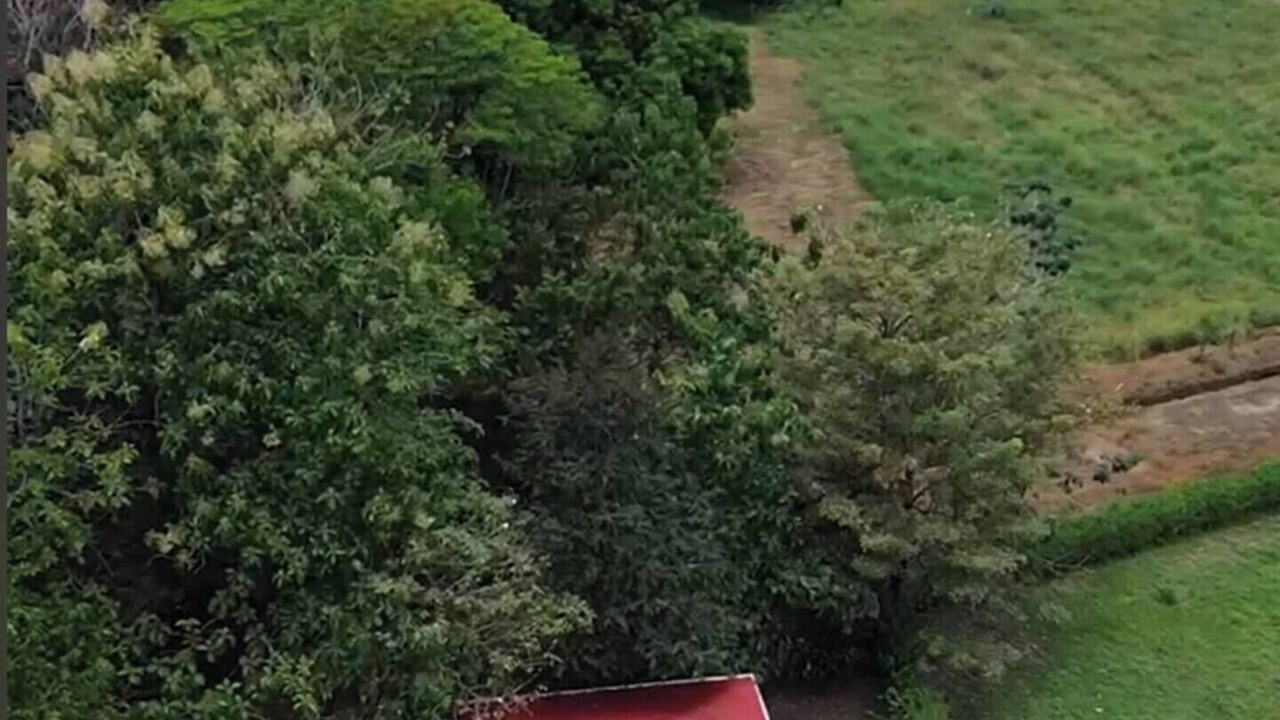 Photo of Outdoor in Pavones