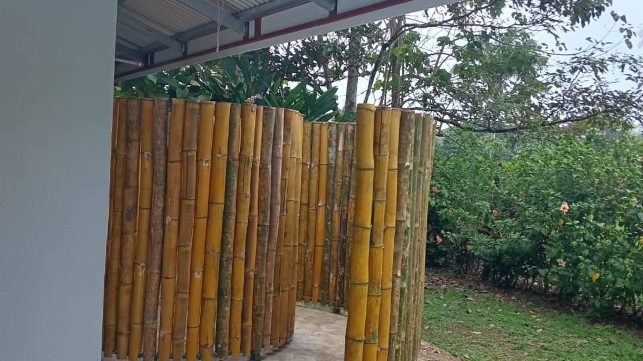Photo of Outdoor in Pavones