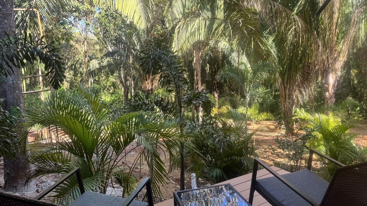 Photo of Outdoor in Esterillos