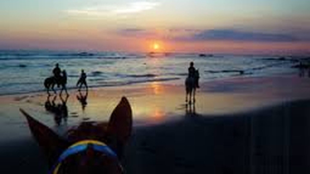Photo of Others in Panama Beach