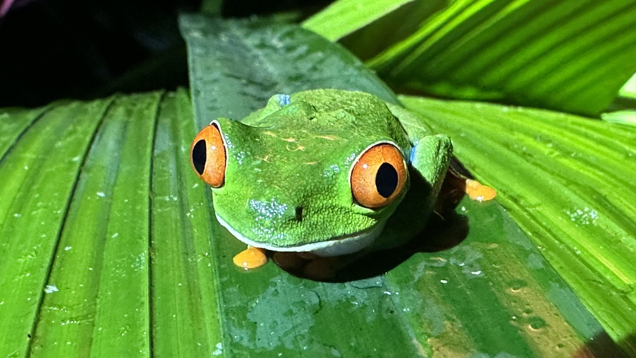 Photo of Others in El Ocotal