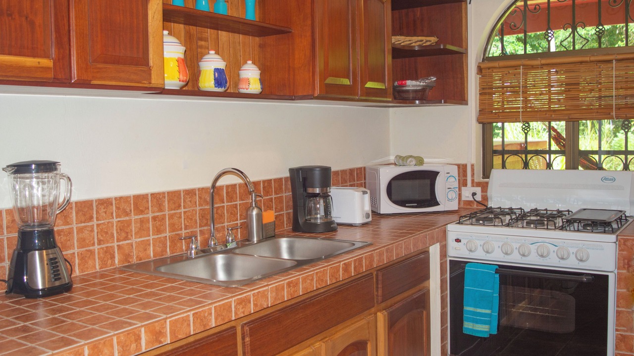 Photo of Kitchen in Dominical