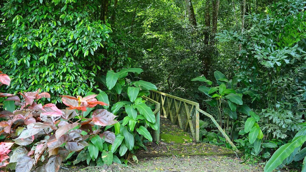 Photo of Outdoor in Dominical