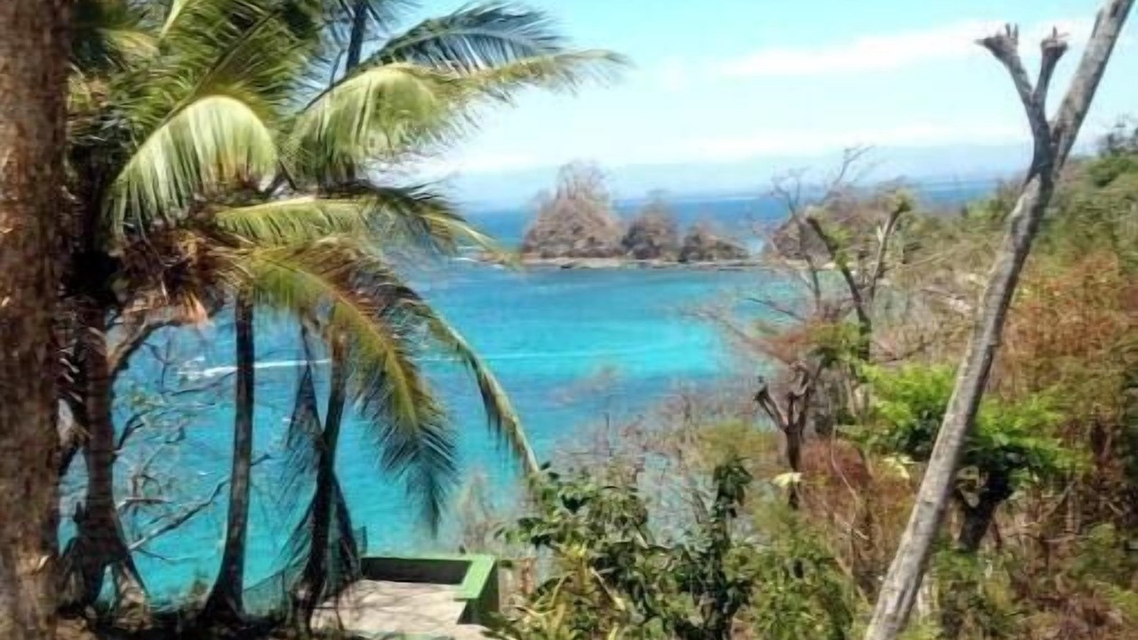 Photo of Others in Punta Leona