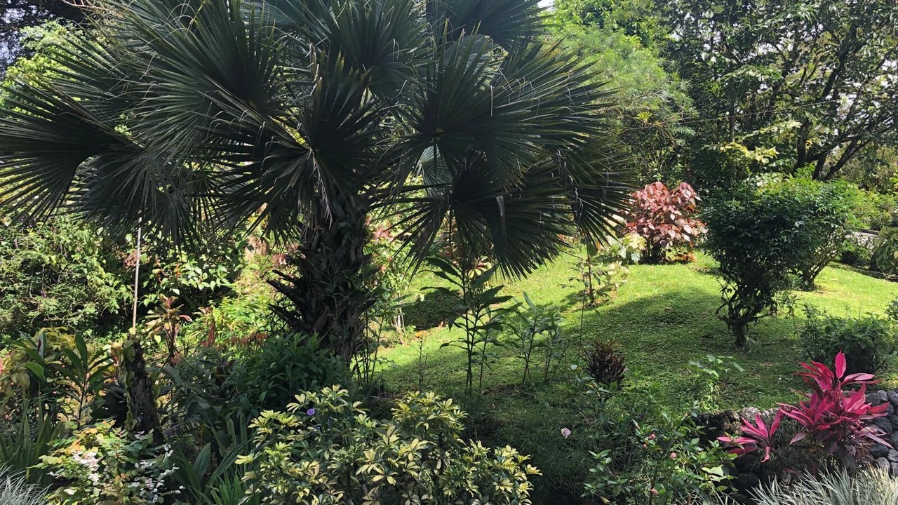 Photo of Outdoor in Arenal