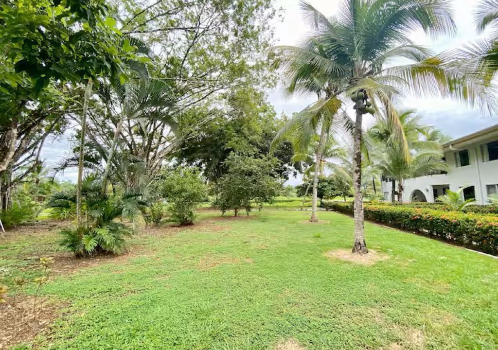 Photo of Outdoor in Damas