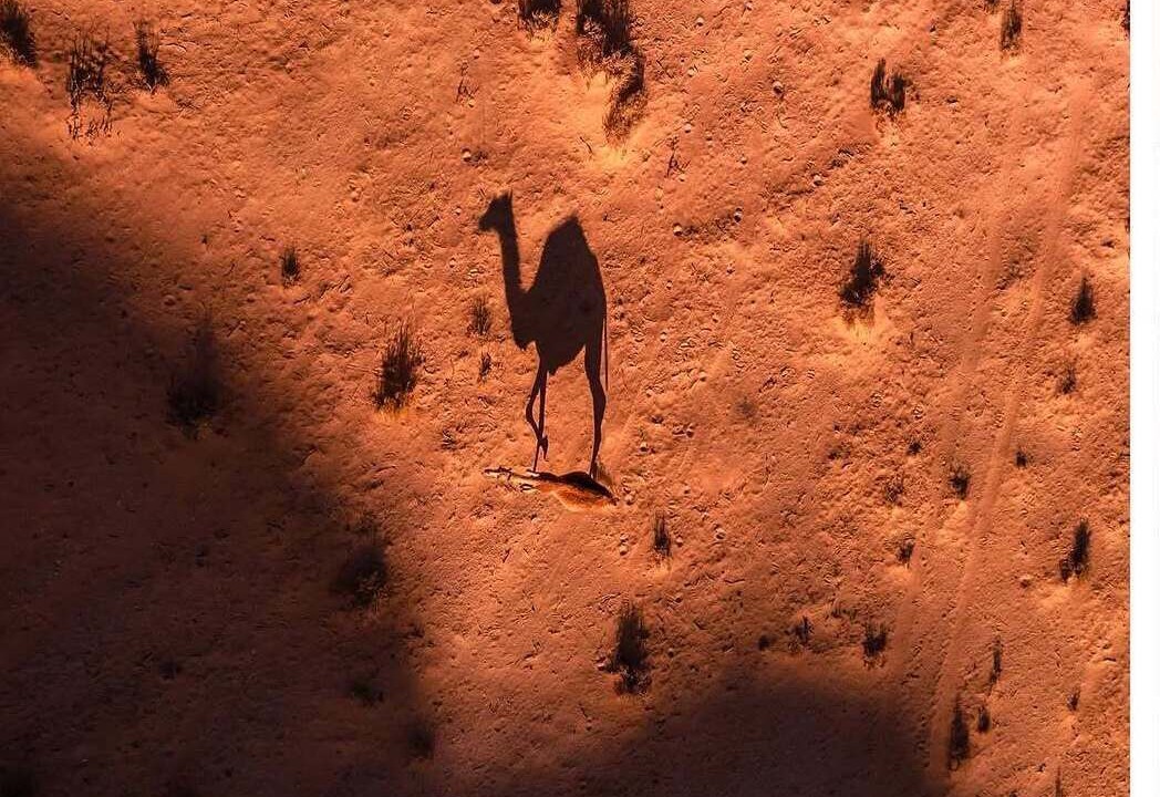 Photo of Others in Wadi Rum