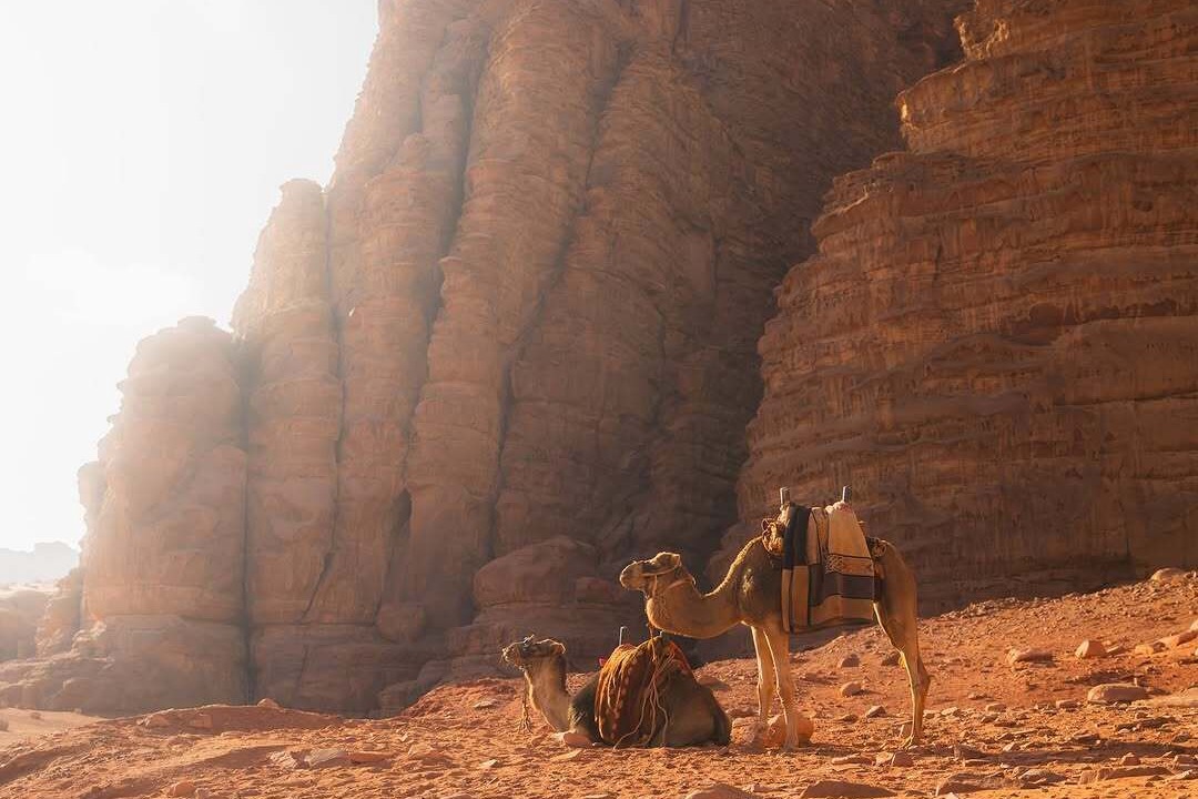 Photo of Others in Wadi Rum