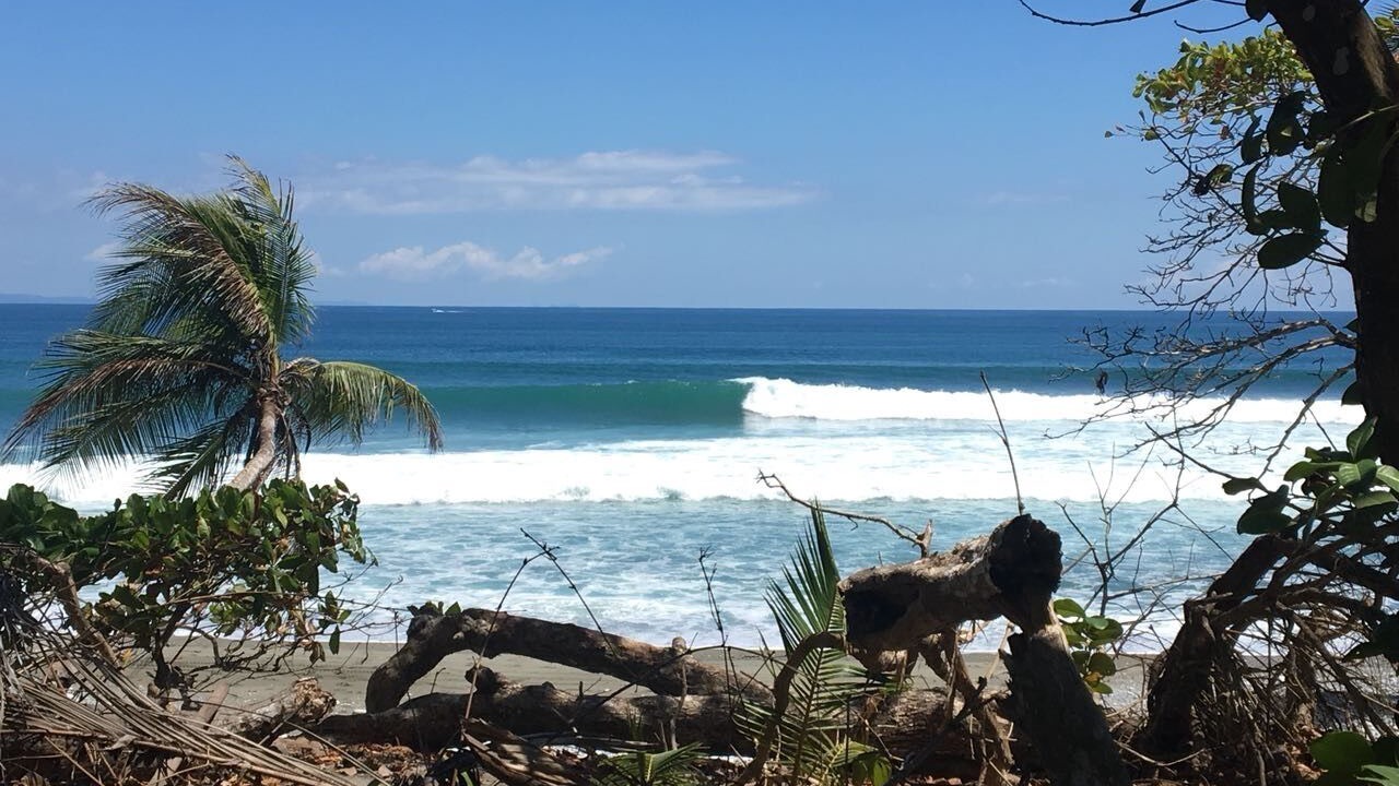 Photo of Others in Puerto Jimenez