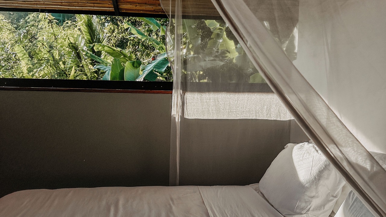 Photo of Bedroom in Puerto Jimenez