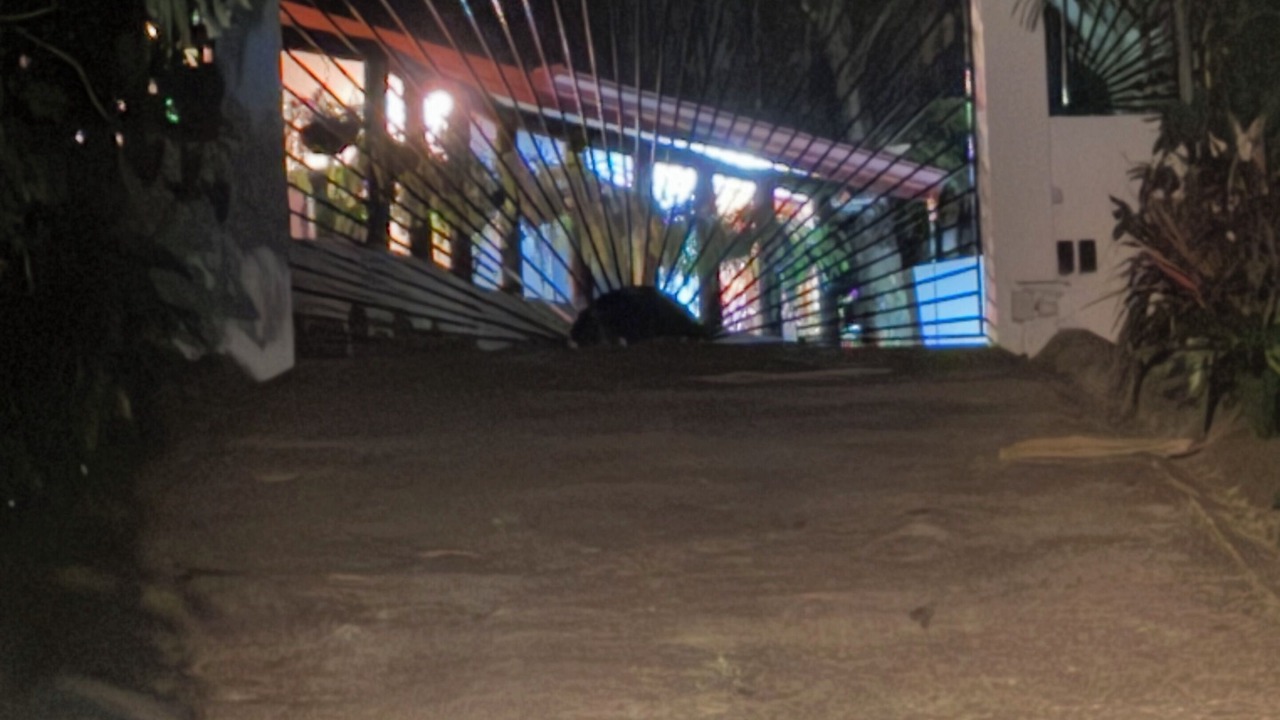 Photo of Outdoor in Hatillo