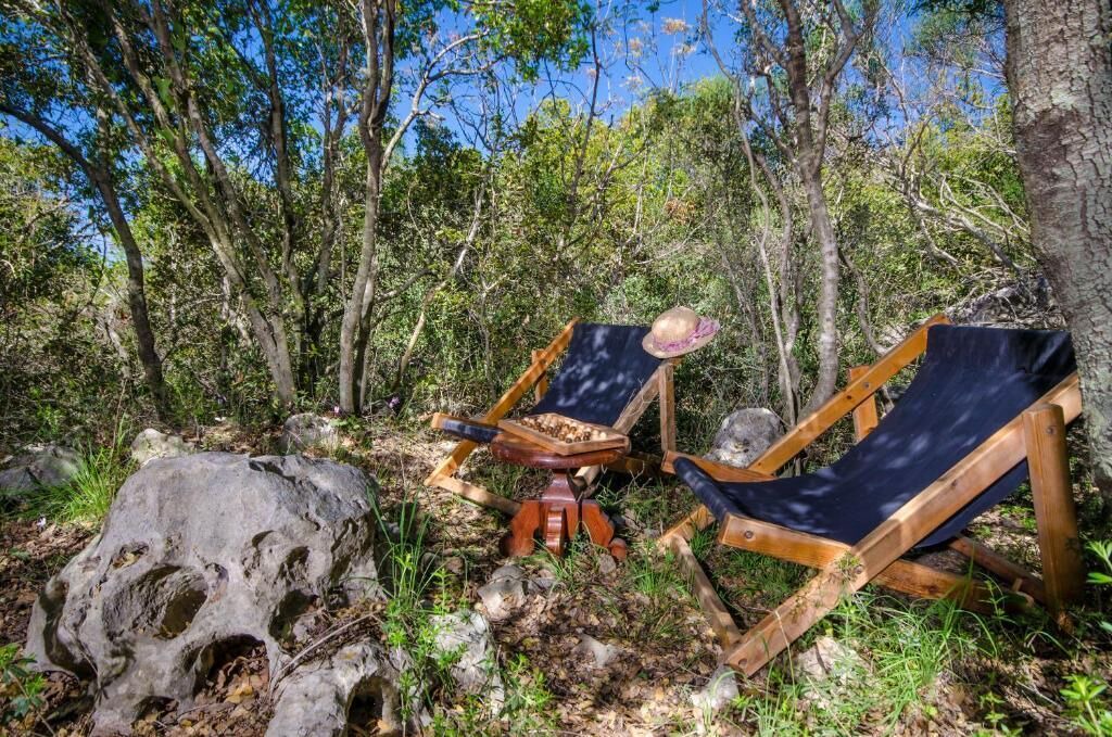 Photo of Outdoor in Har Halutz