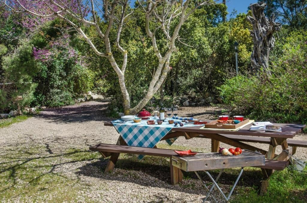 Photo of Outdoor in Har Halutz