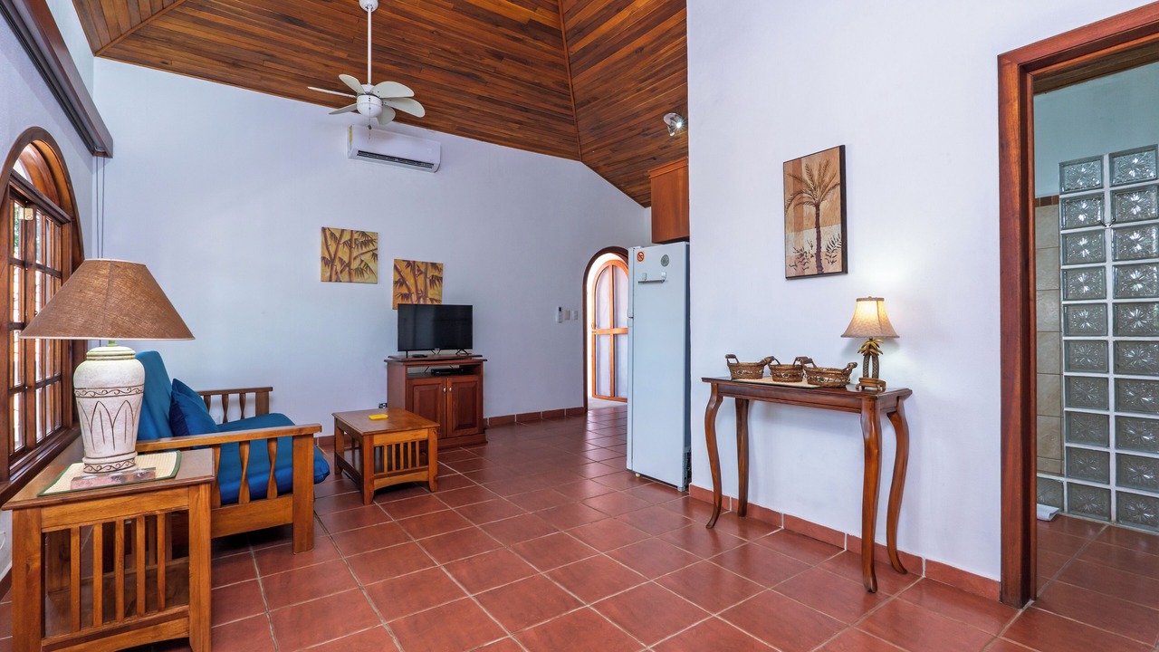 Photo of Livingroom in Playa Flamingo