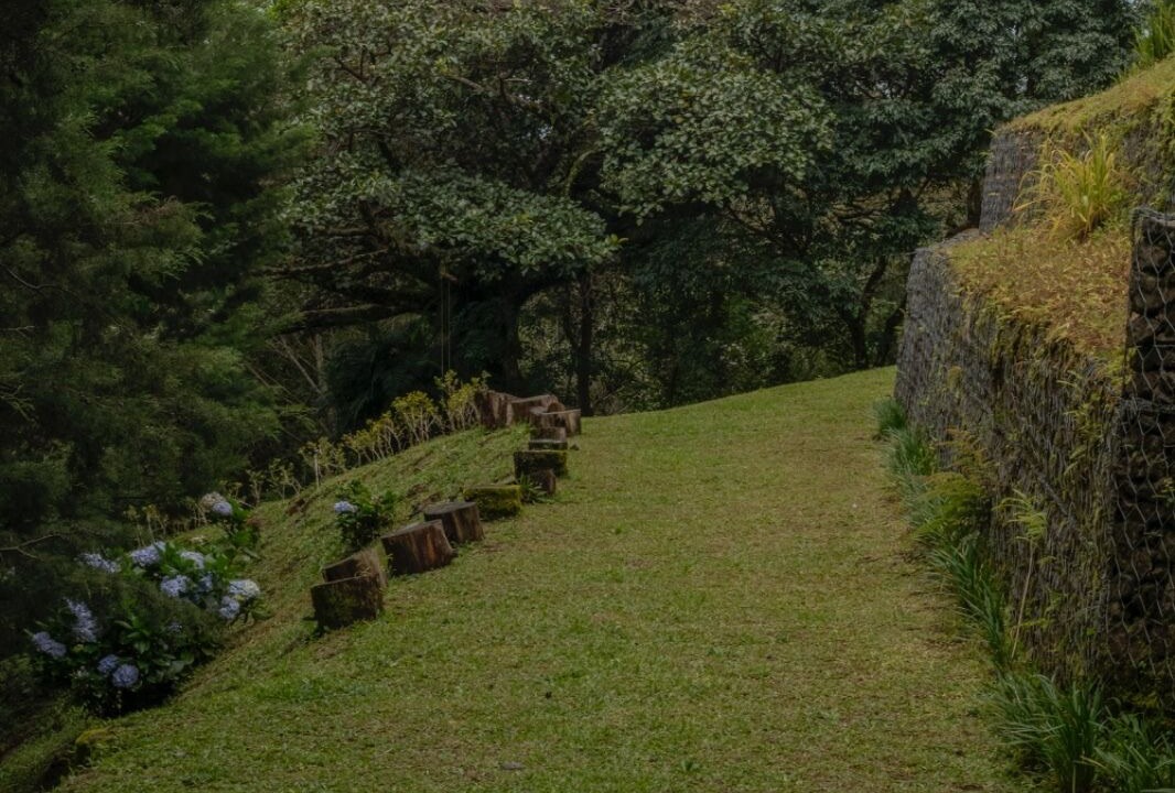 Photo of Outdoor in Roble