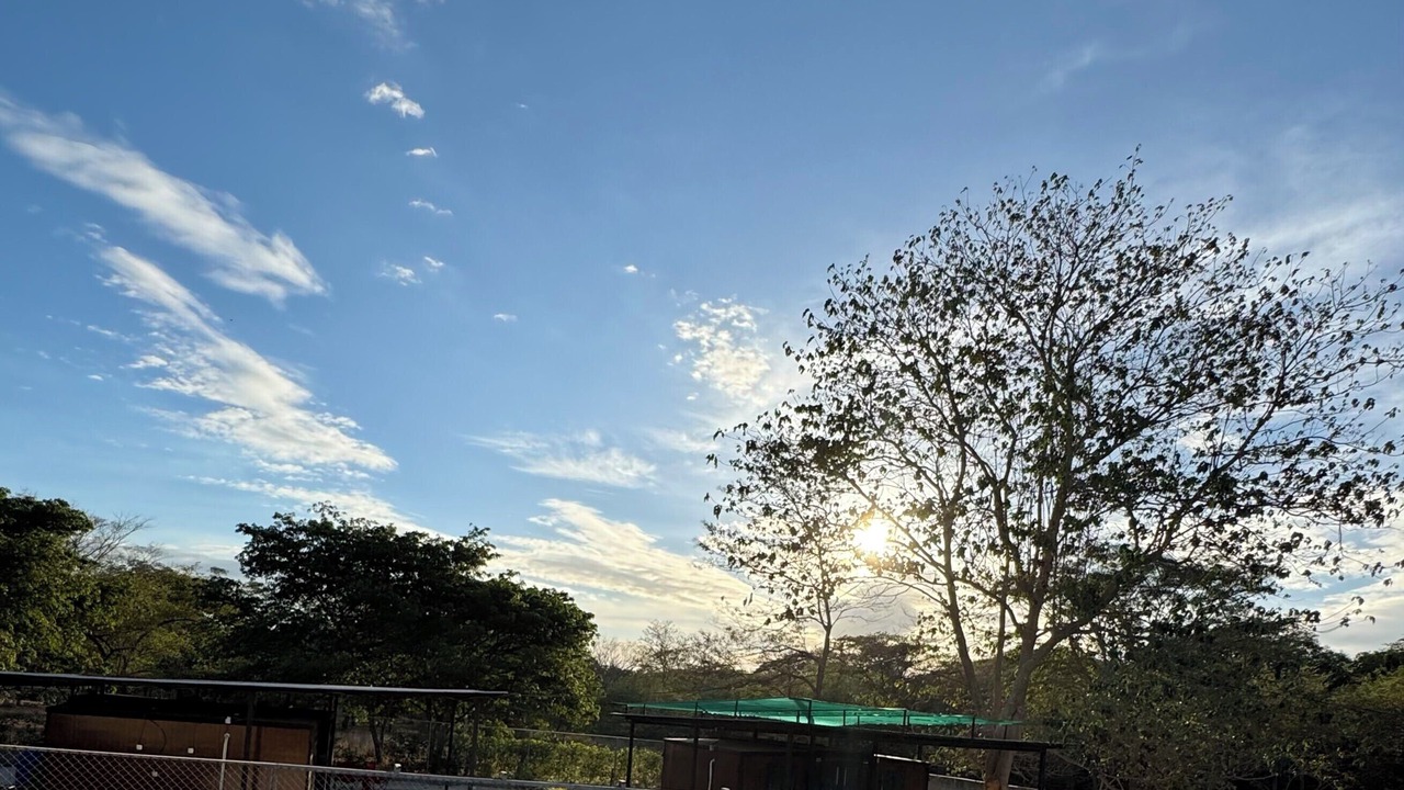Photo of Outdoor in Tamarindo