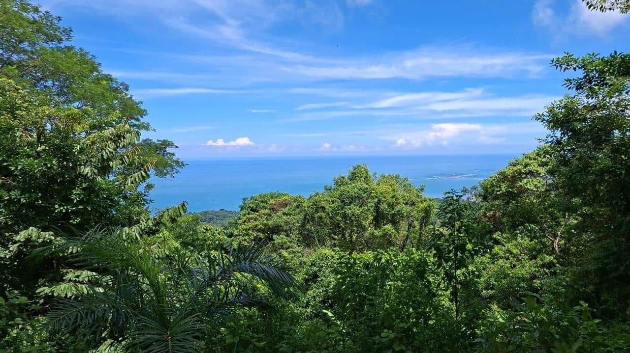 Photo of Others in Uvita