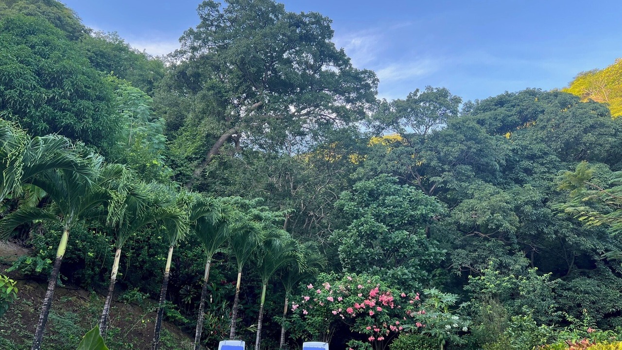 Photo of Others in El Ocotal