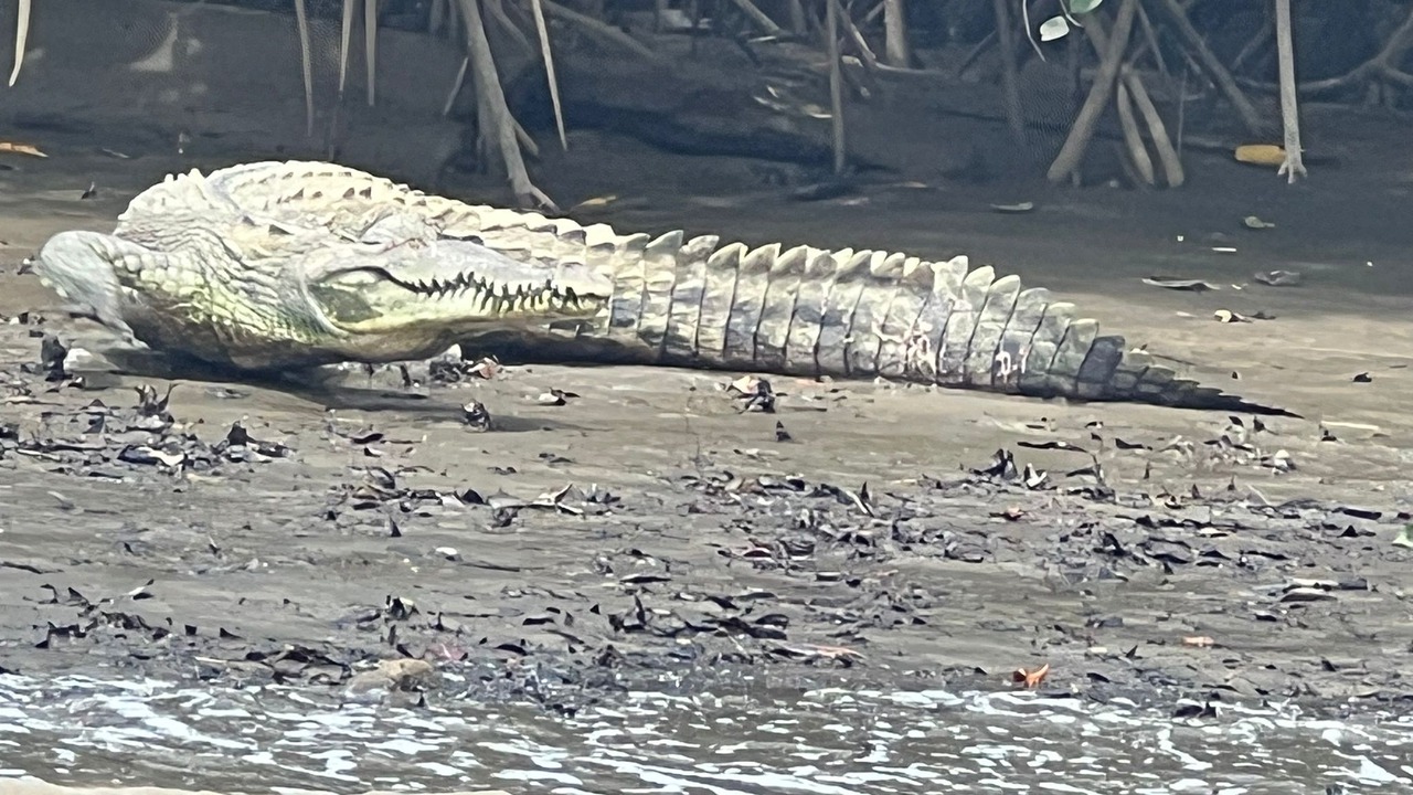 Photo of Others in Quebrada La Gamba