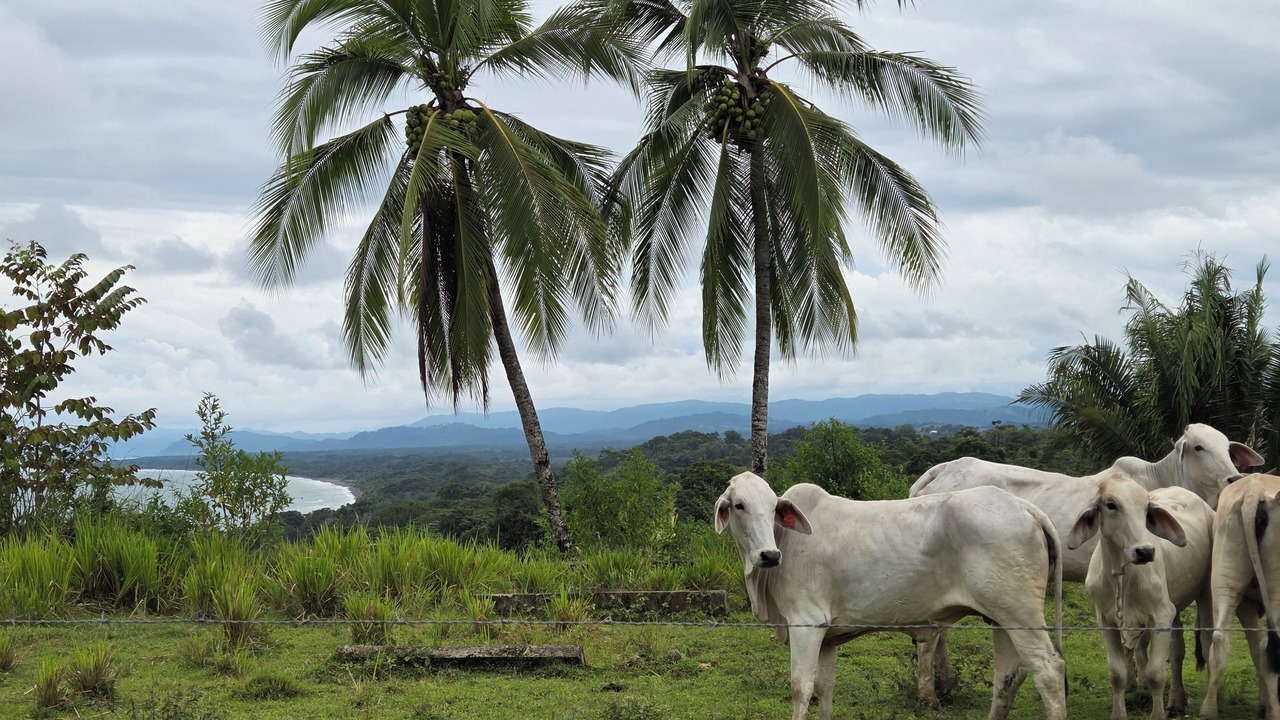 Photo of Others in Quebrada La Gamba