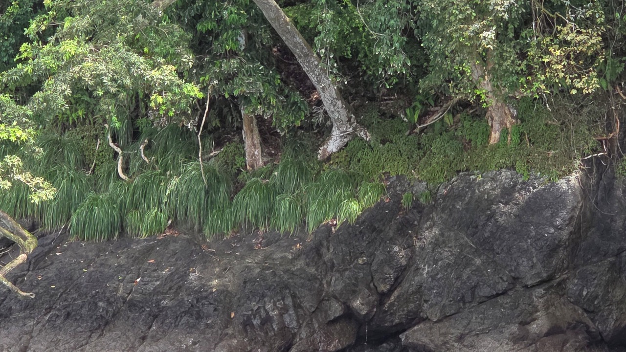 Photo of Others in Quebrada La Gamba