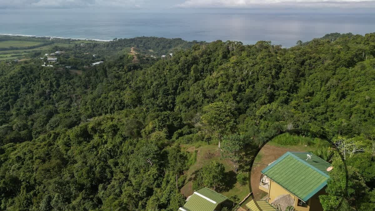 Photo of Others in Jaco