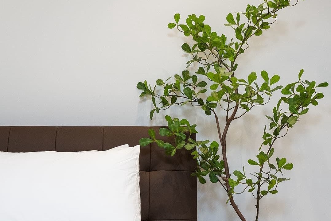 Photo of Bedroom in Tiberias