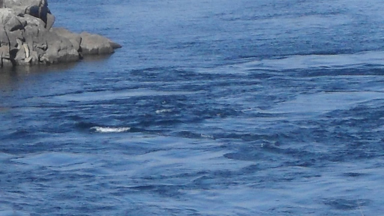 Photo of Others in Seheil Island