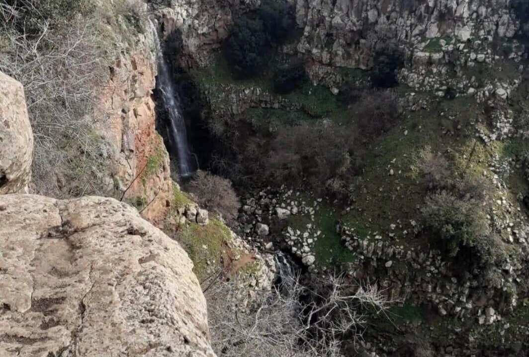 Photo of Others in Bruchim Qela' Alon