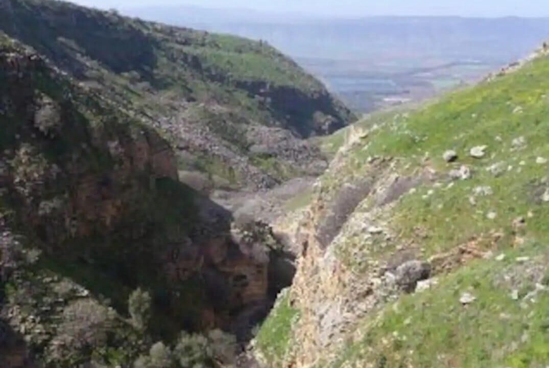 Photo of Others in Bruchim Qela' Alon