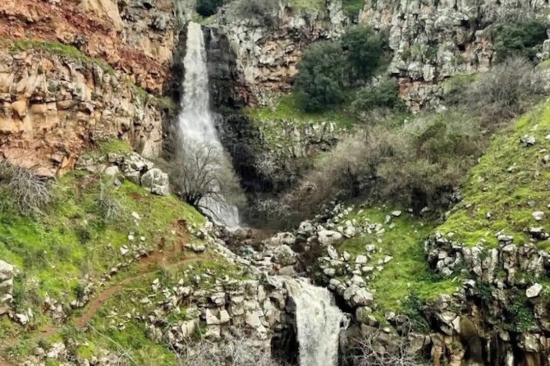 Photo of Others in Bruchim Qela' Alon
