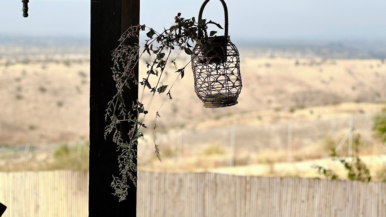 Photo of Outdoor in Ma'ale Gamla