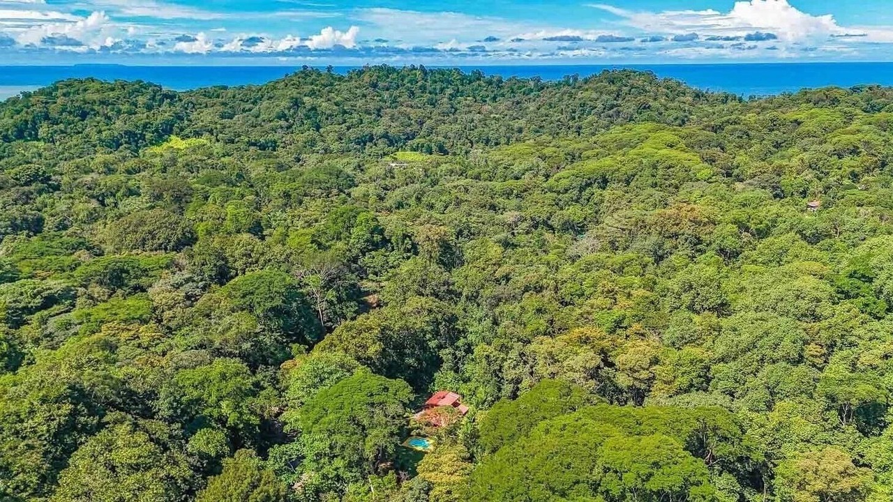 Photo of Outdoor in Ballena