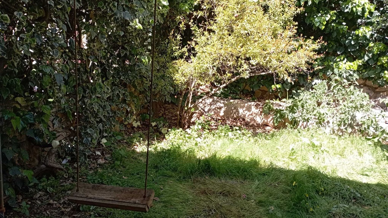 Photo of Outdoor in Safed