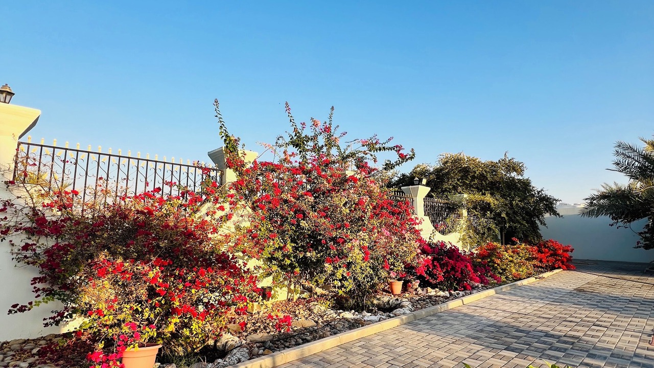Photo of Outdoor in Ras Al Khaimah