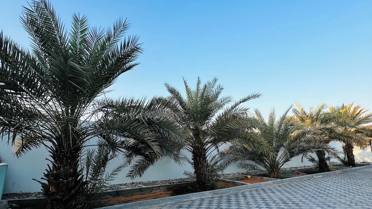 Photo of Outdoor in Ras Al Khaimah