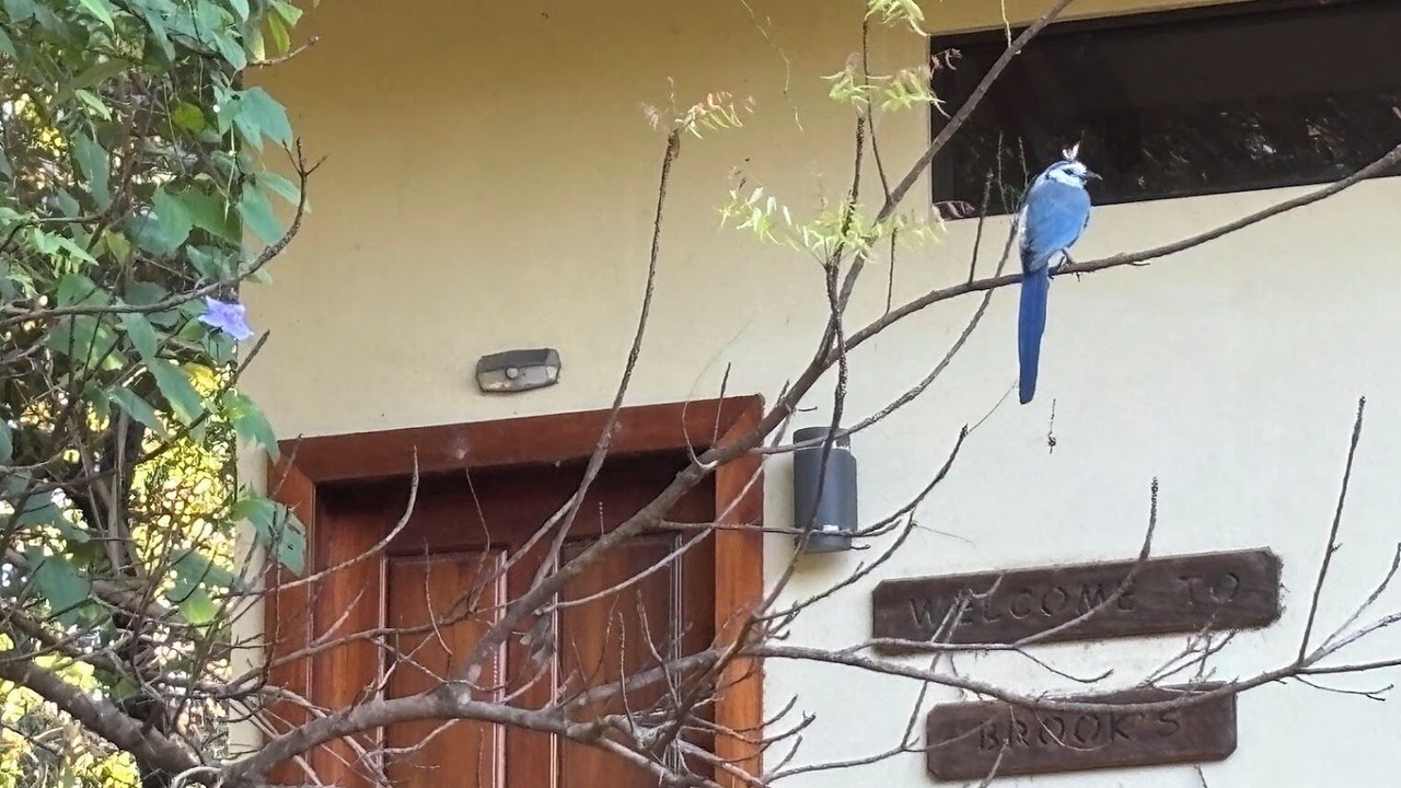Photo of Others in Cabo Velas