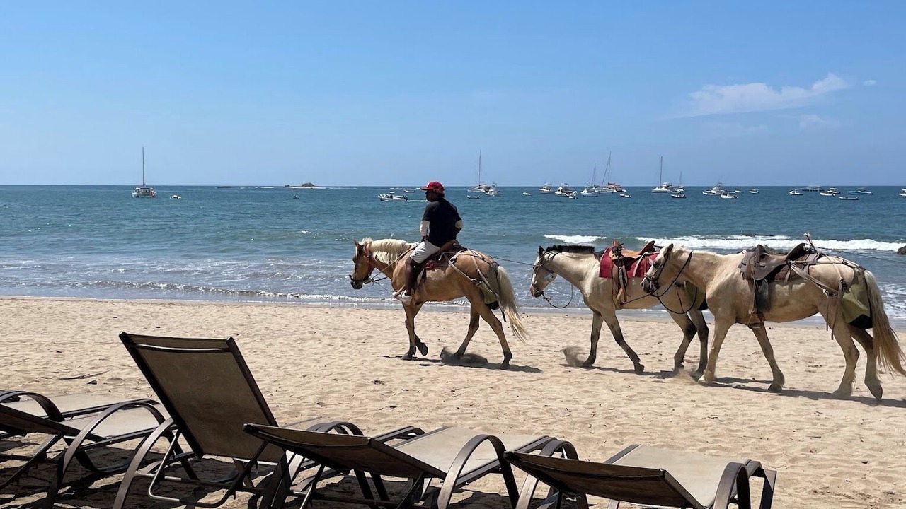 Photo of Others in Cabo Velas