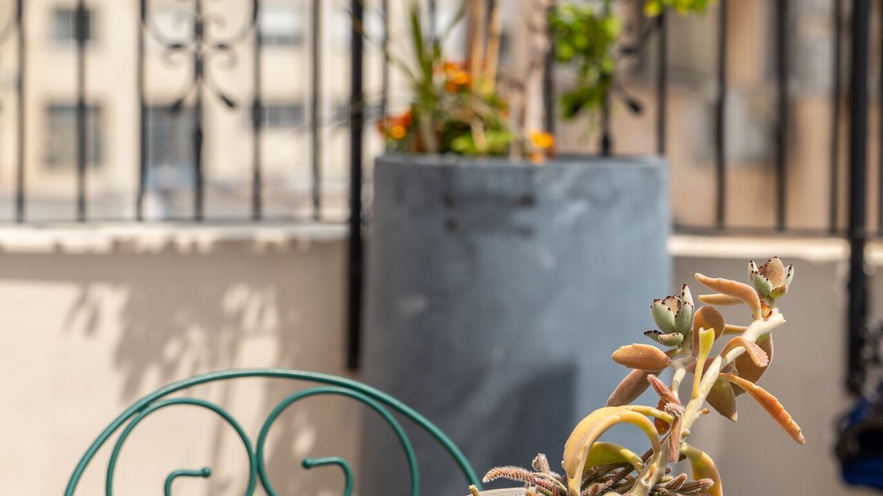 Photo of Outdoor in Haifa