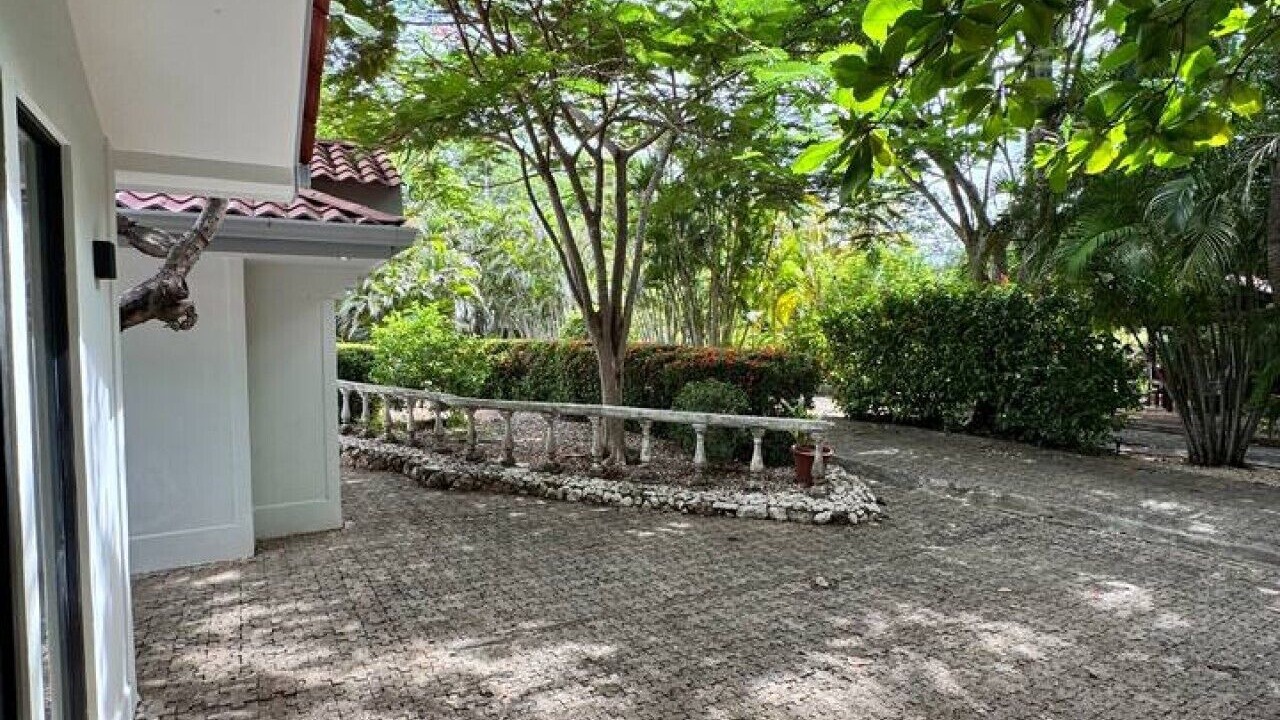 Photo of Outdoor in Coco