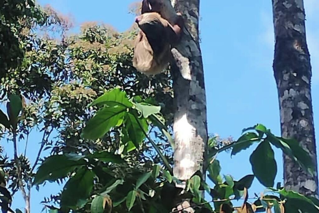 Photo of Others in Boca Arenal