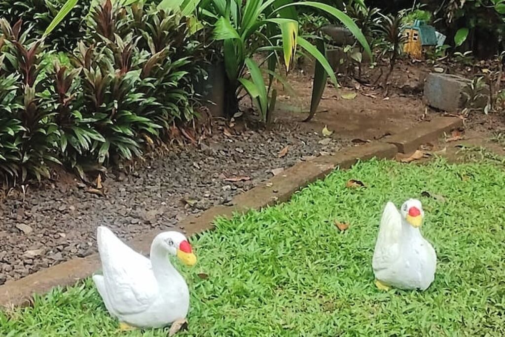Photo of Outdoor in Boca Arenal