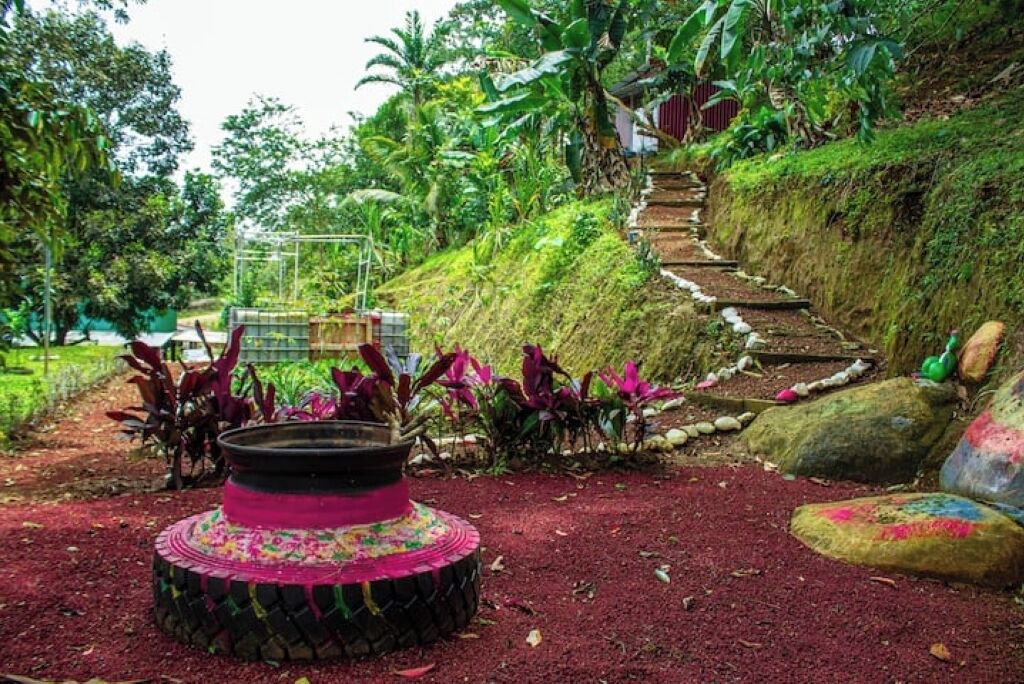 Photo of Outdoor in Boca Arenal