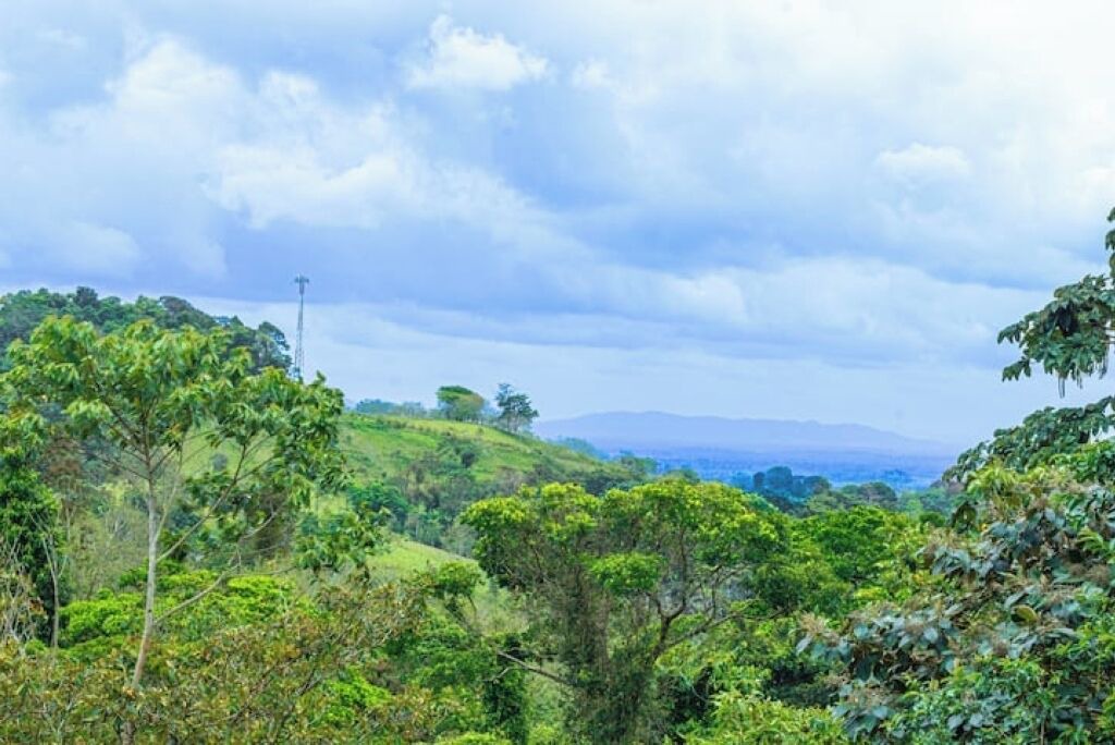 Photo of Others in Boca Arenal