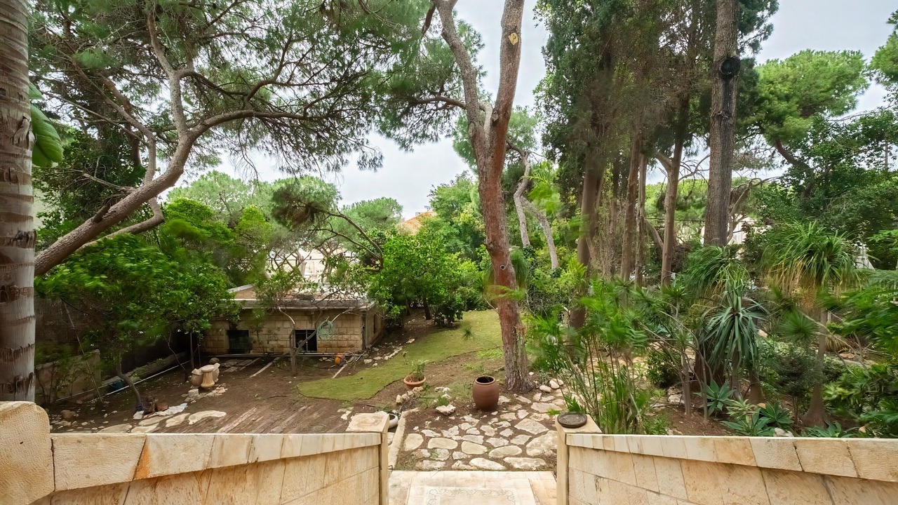 Photo of Outdoor in Haifa