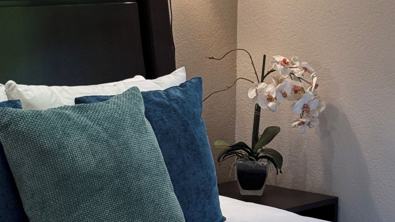 Photo of Bedroom in Coco