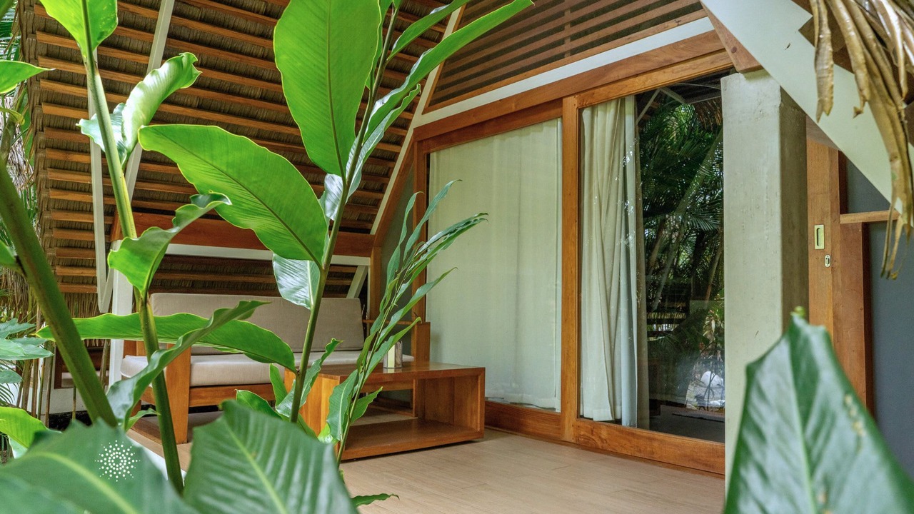 Photo of Outdoor in Puerto Viejo de Talamanca