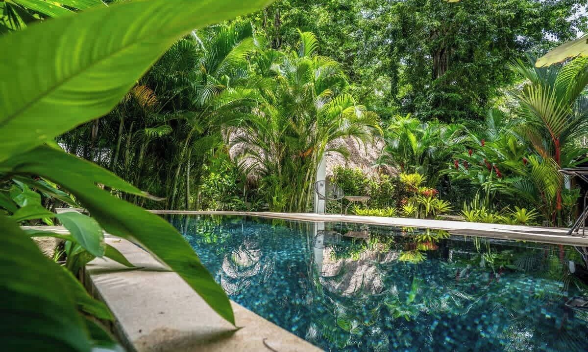 Photo of Outdoor in Puerto Viejo de Talamanca